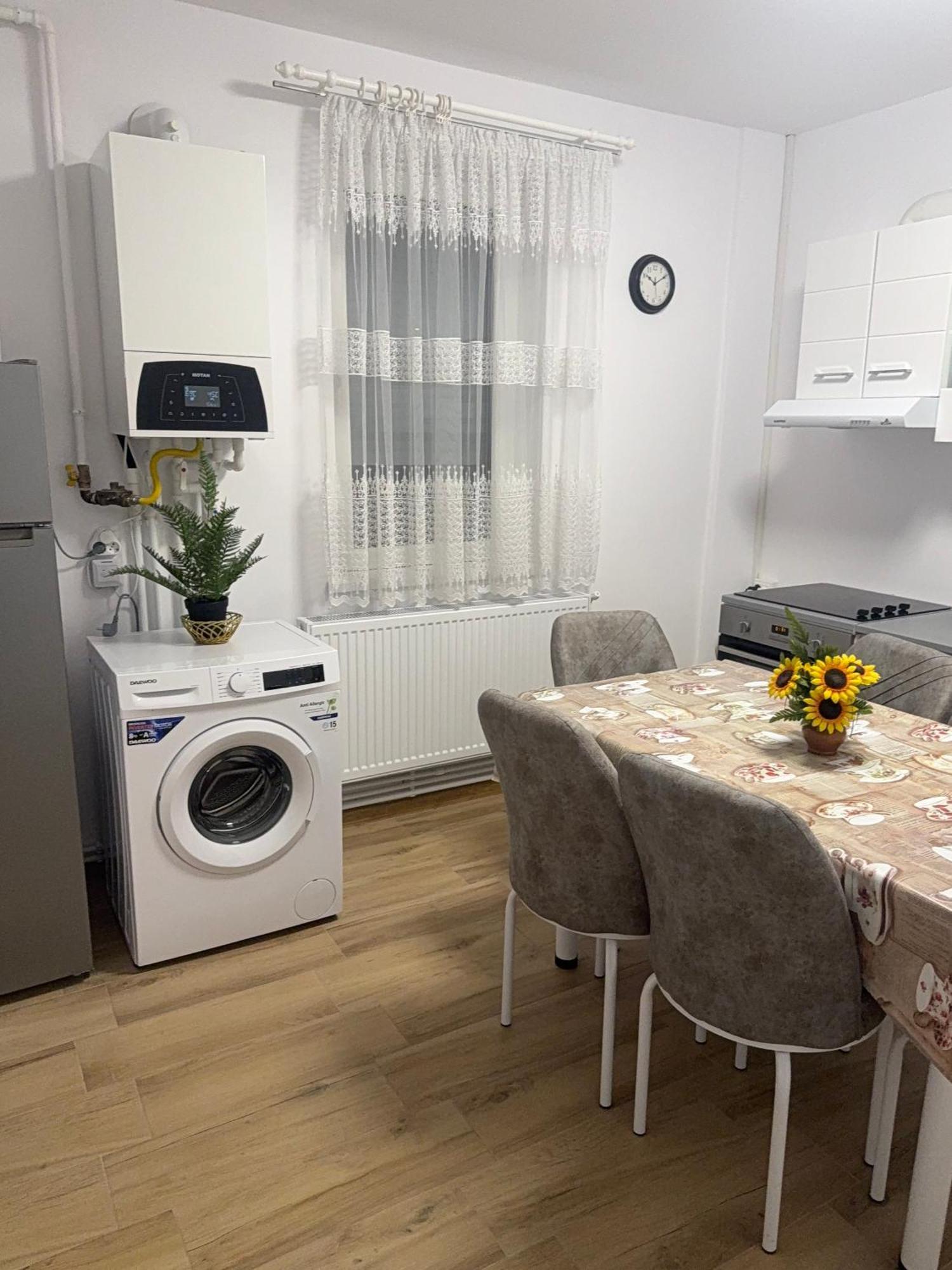 Modernul Apartament De Langa Castel ฮูเนโดอารา ภายนอก รูปภาพ